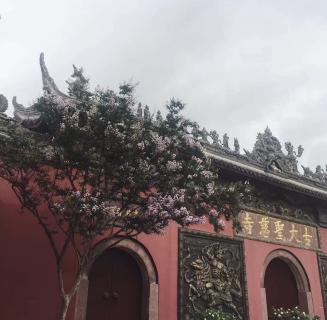 征途国际：助力公益活动建设，实现经济效益与社会效益的双赢！