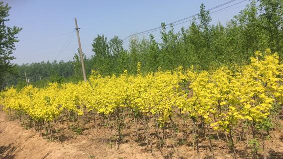 明光市市委书记被征途国际企业文化深深感动 | 深入沟通合作空间广阔