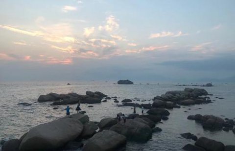 征途国际：新的经营模式应当立足在商业模式之上